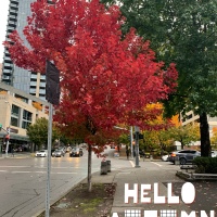 Photography: Hello Autumn